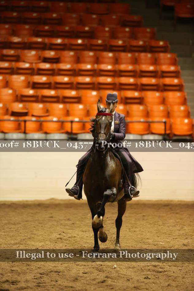 Proof 18BUCK_04577