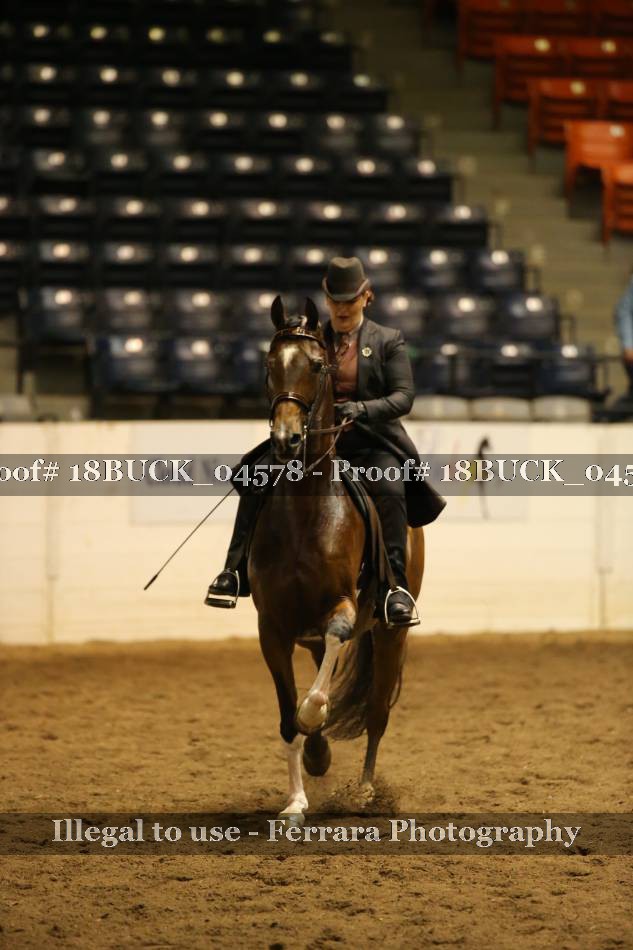 Proof 18BUCK_04578