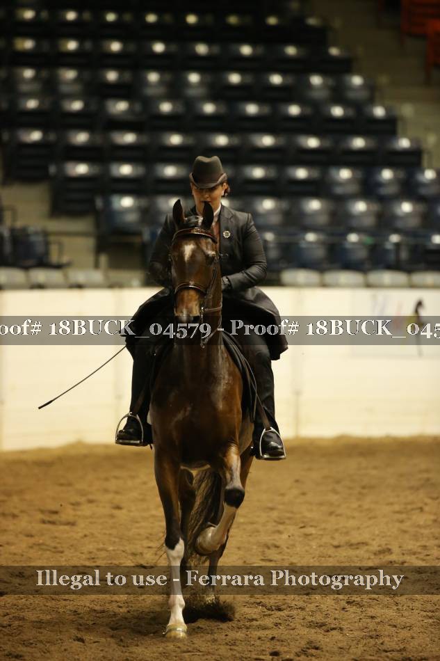 Proof 18BUCK_04579
