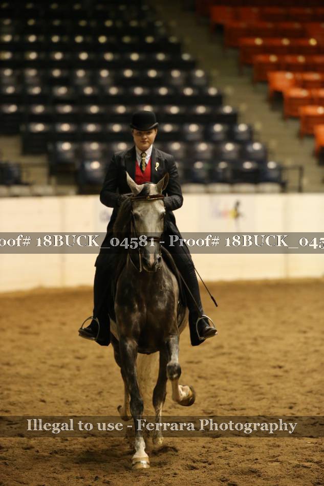 Proof 18BUCK_04581