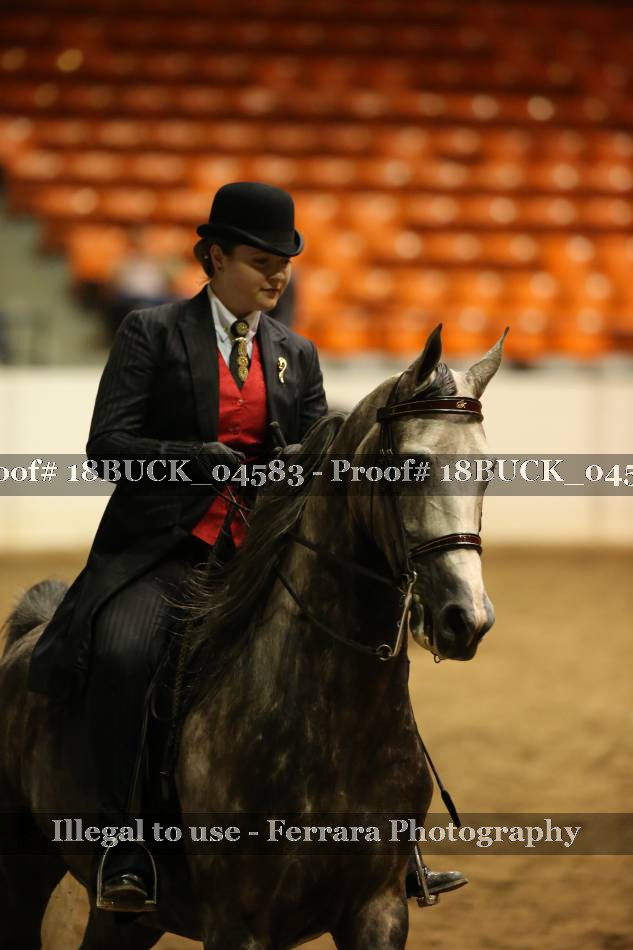 Proof 18BUCK_04583