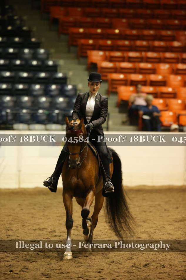 Proof 18BUCK_04584