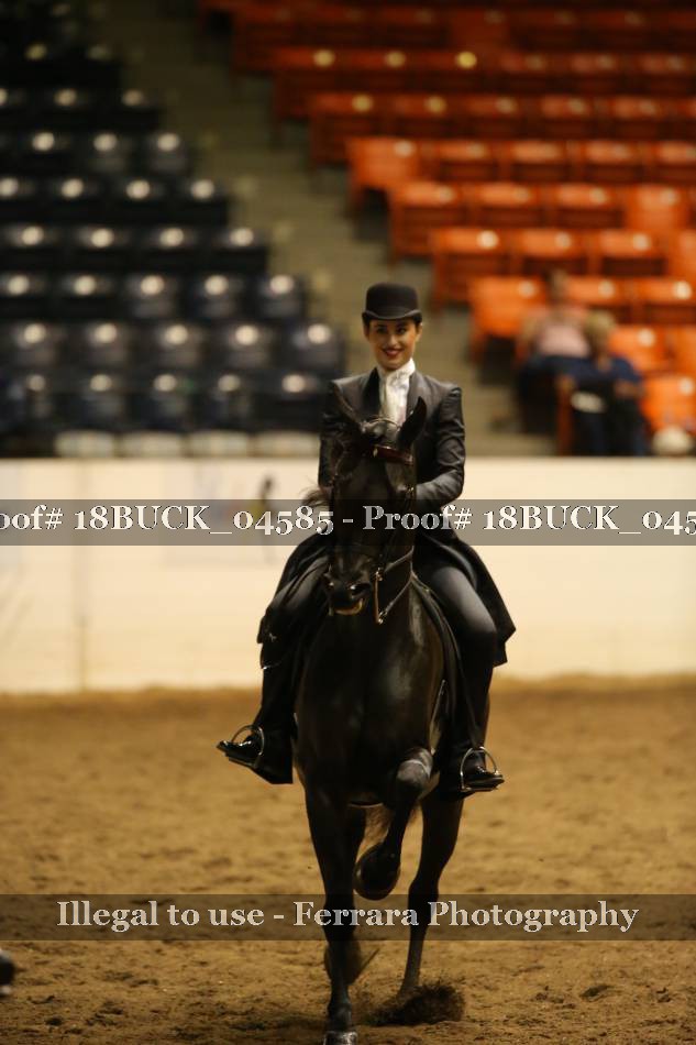 Proof 18BUCK_04585