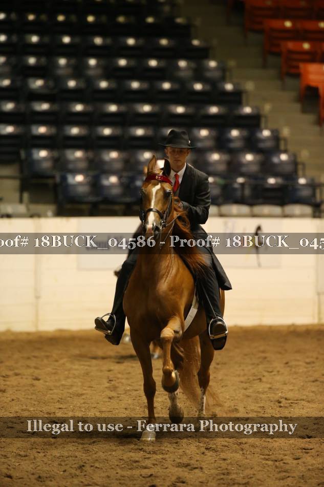 Proof 18BUCK_04586