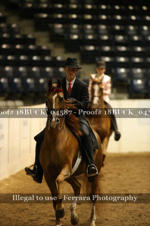 Proof 18BUCK_04587