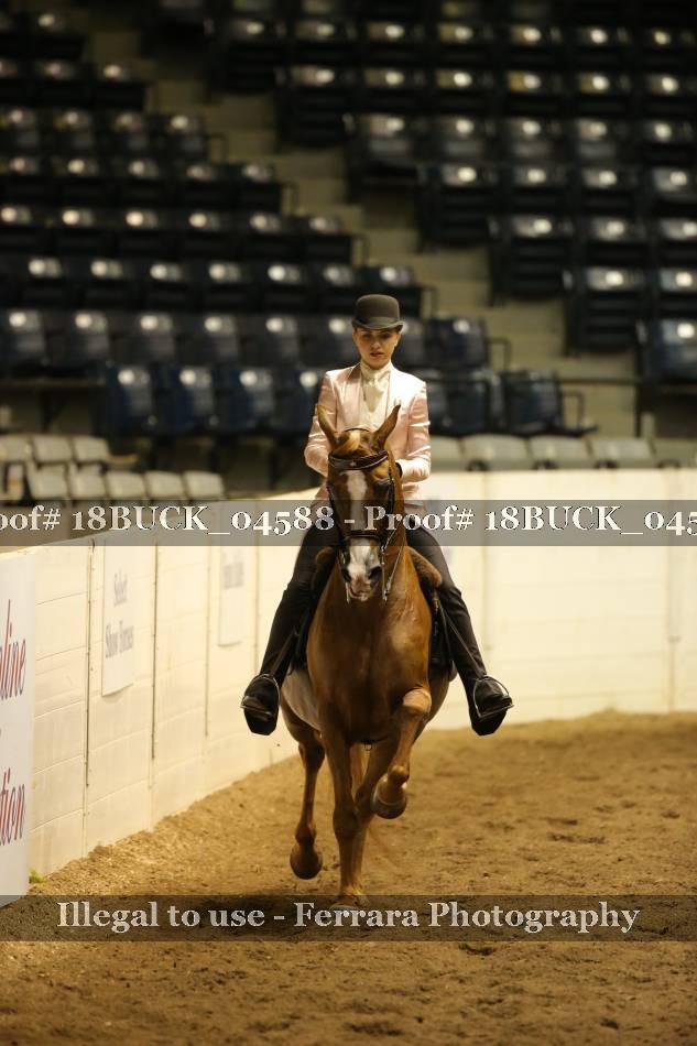 Proof 18BUCK_04588