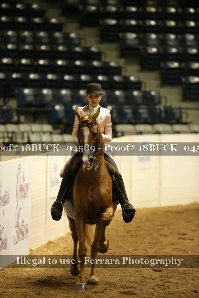 Proof 18BUCK_04589