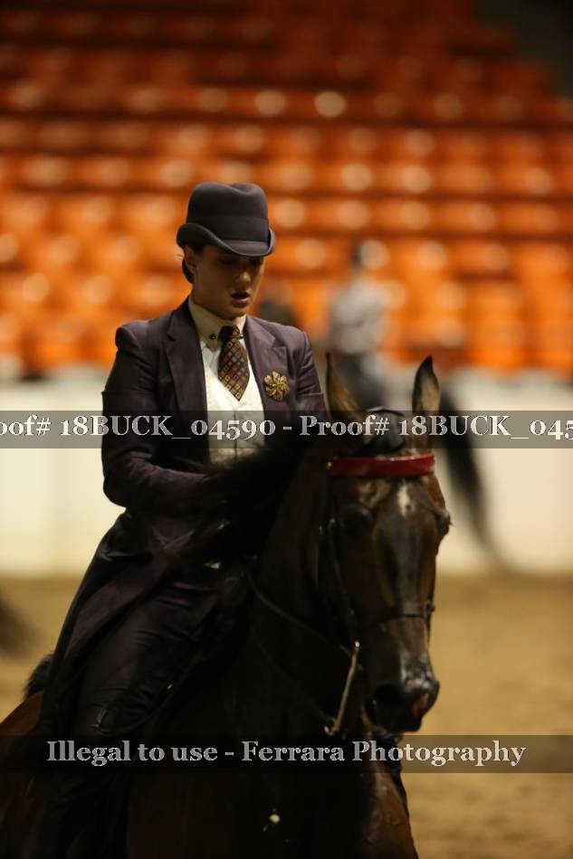 Proof 18BUCK_04590