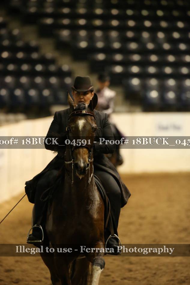 Proof 18BUCK_04591