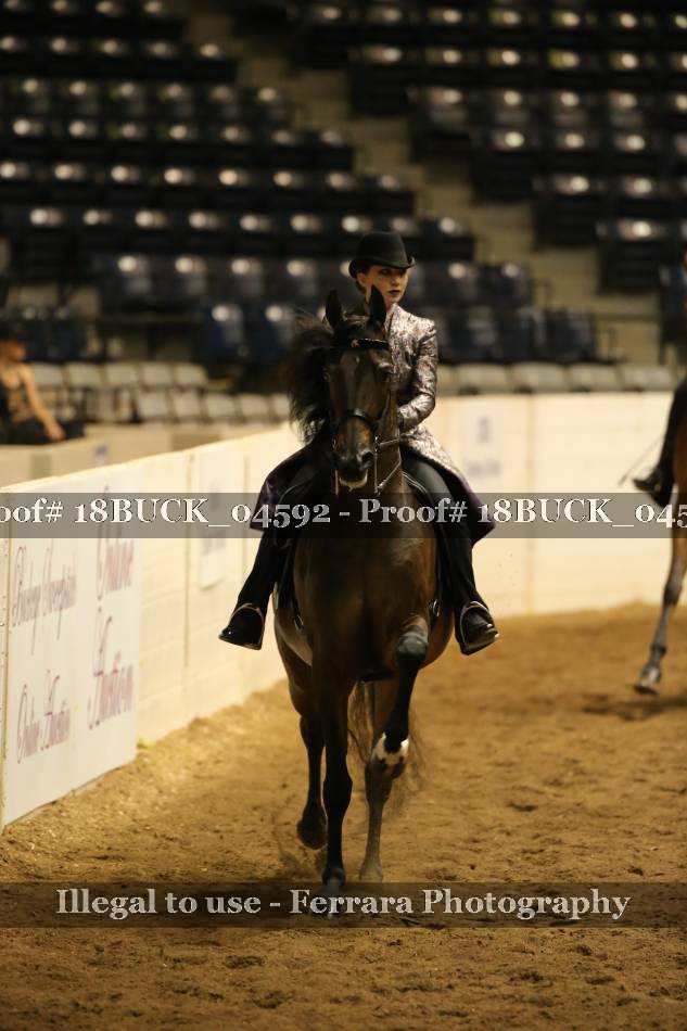 Proof 18BUCK_04592