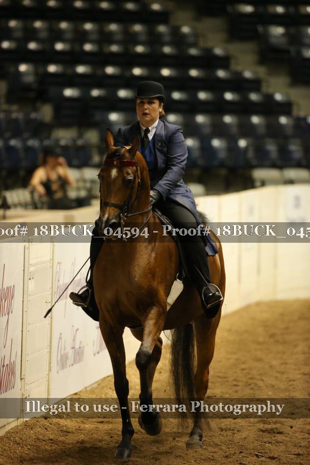 Proof 18BUCK_04594