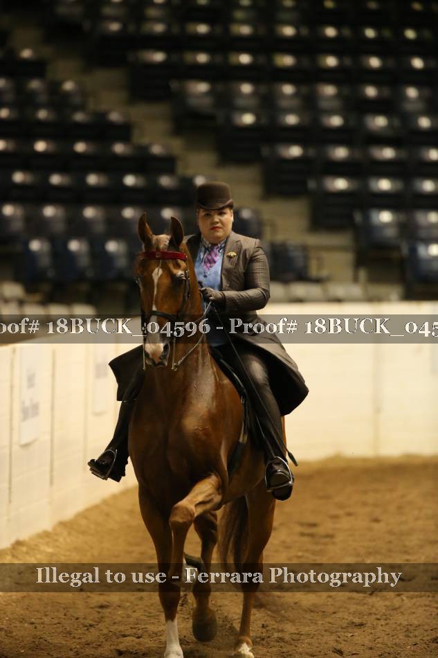 Proof 18BUCK_04596