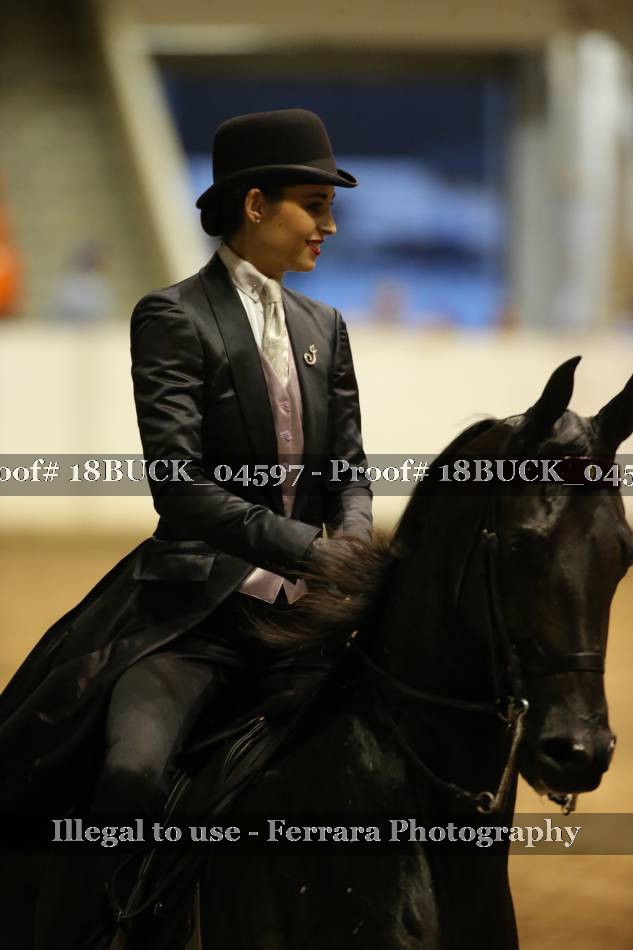 Proof 18BUCK_04597