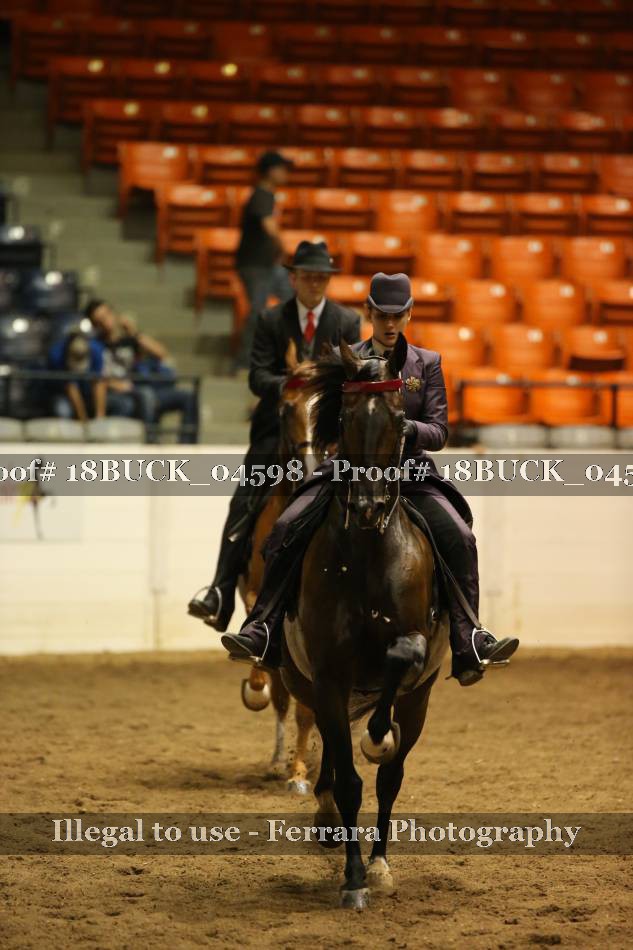 Proof 18BUCK_04598