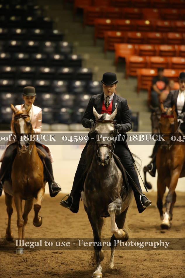 Proof 18BUCK_04599
