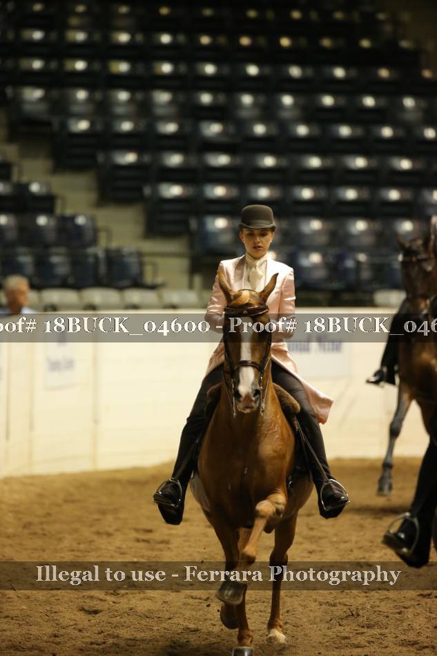 Proof 18BUCK_04600