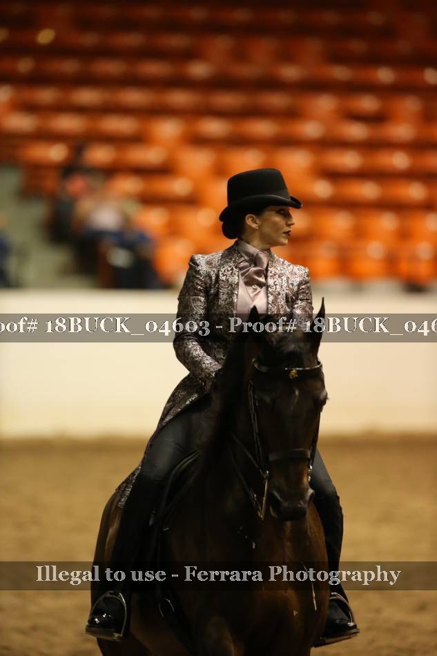 Proof 18BUCK_04603