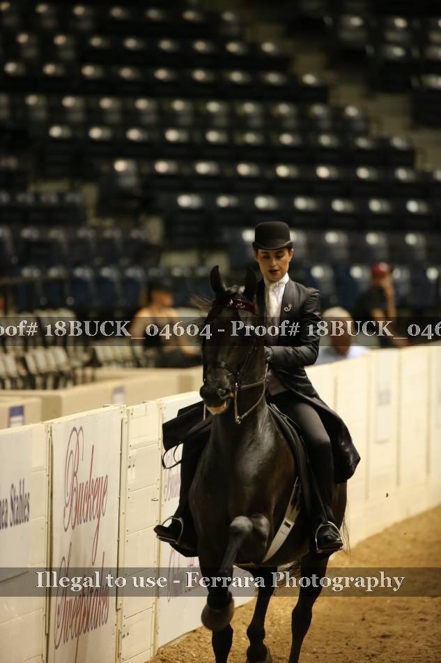 Proof 18BUCK_04604