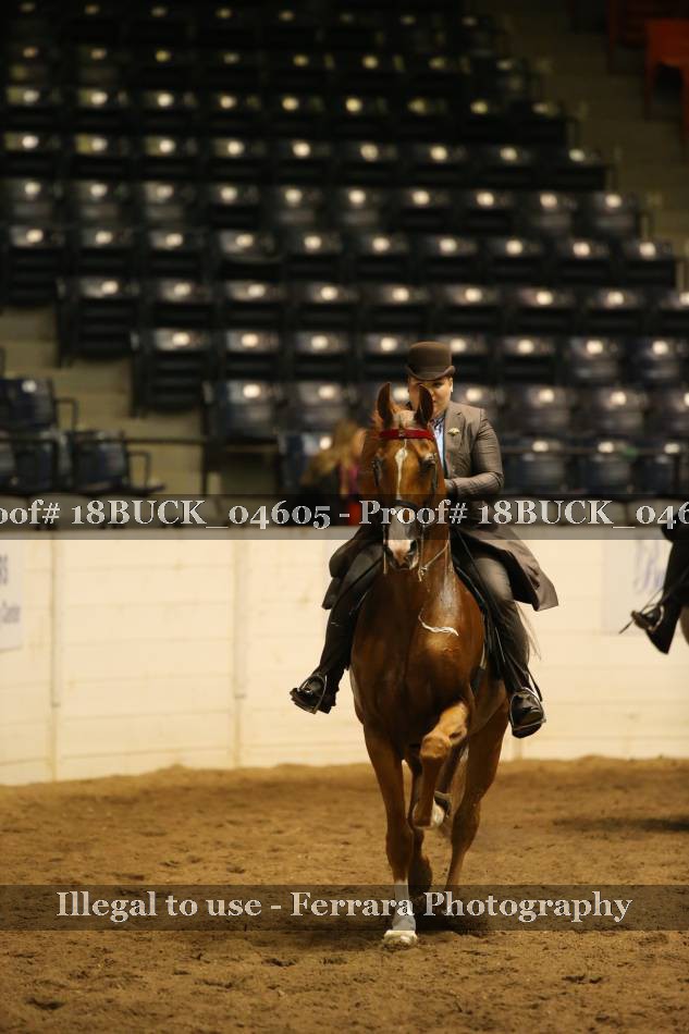 Proof 18BUCK_04605