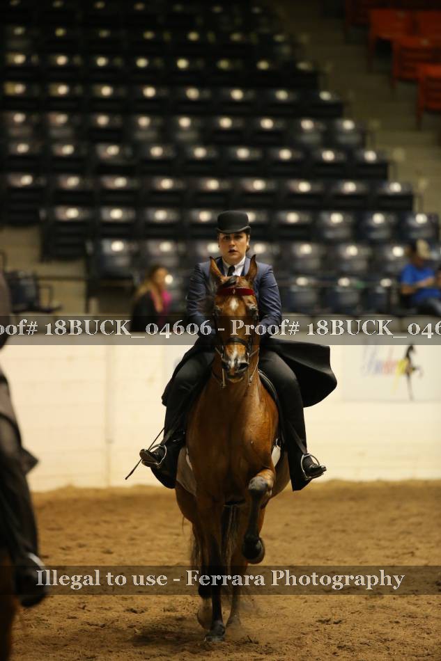 Proof 18BUCK_04606