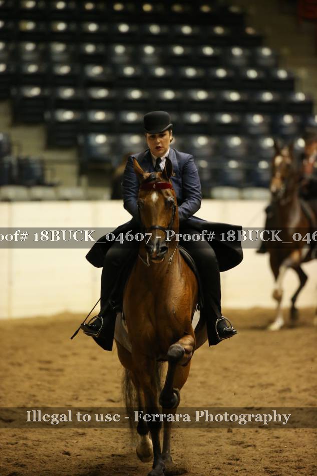 Proof 18BUCK_04607