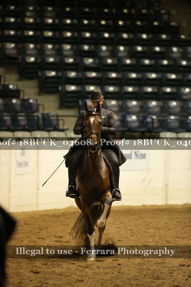 Proof 18BUCK_04608