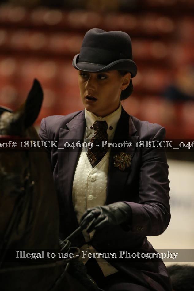 Proof 18BUCK_04609