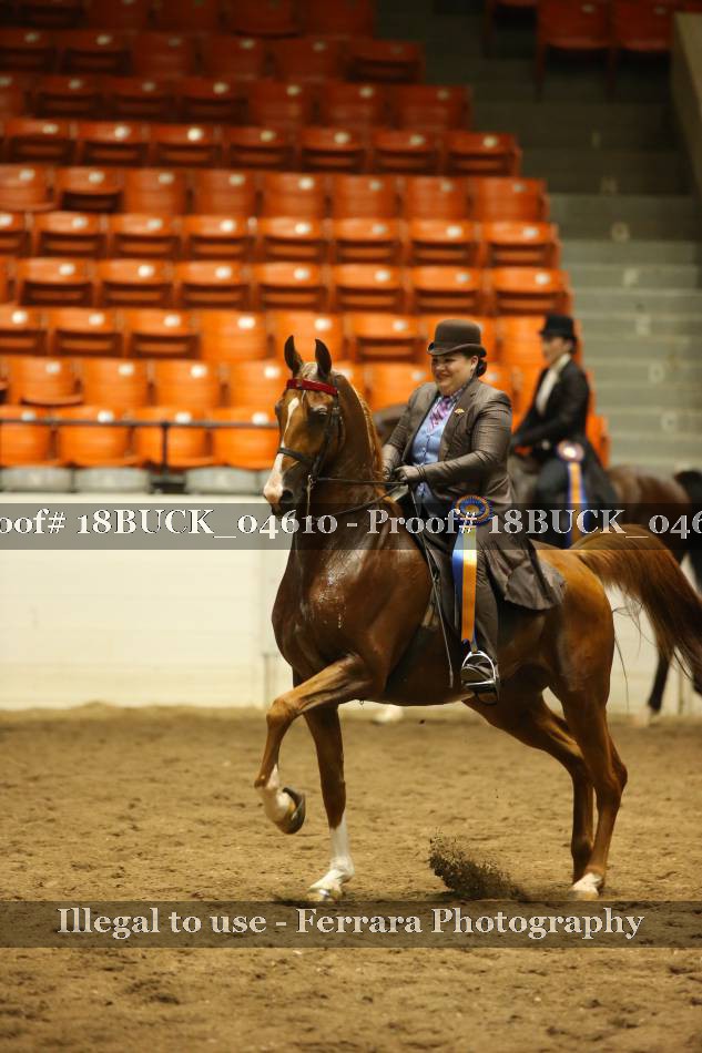 Proof 18BUCK_04610
