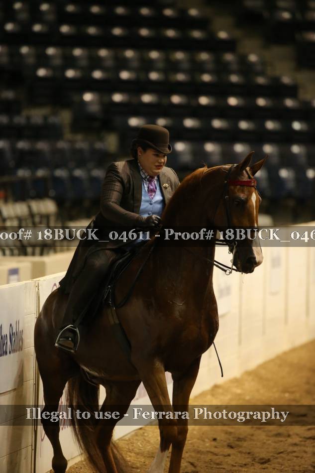 Proof 18BUCK_04611