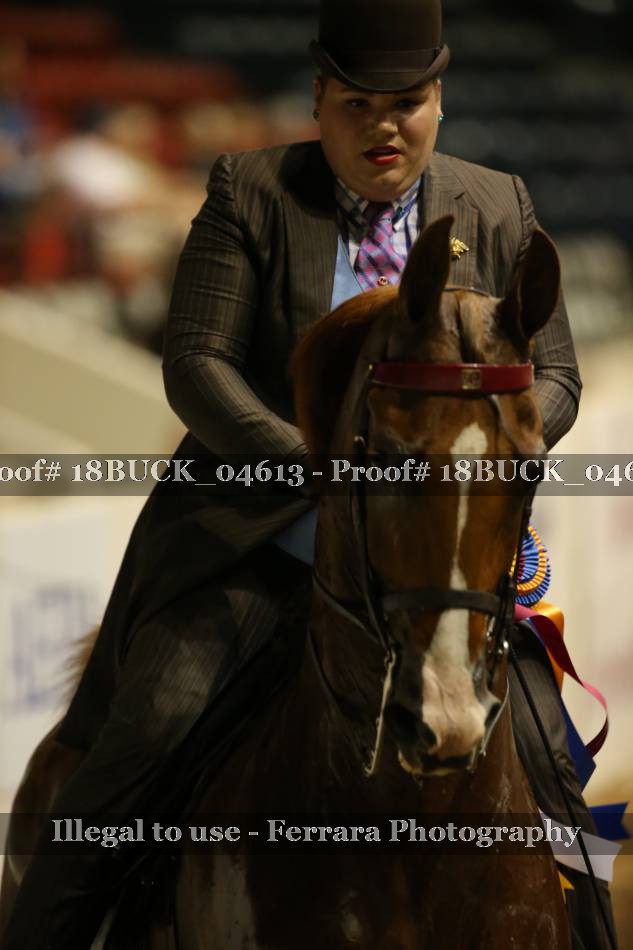 Proof 18BUCK_04613