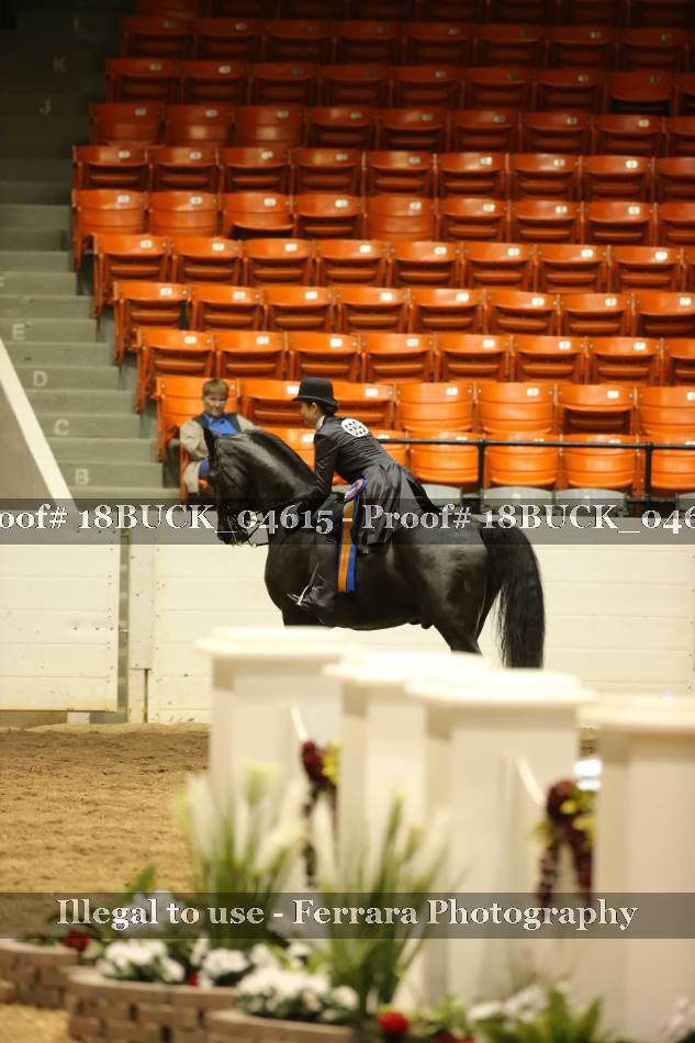 Proof 18BUCK_04615