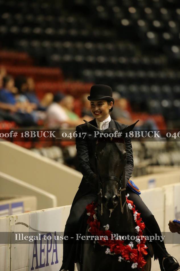 Proof 18BUCK_04617