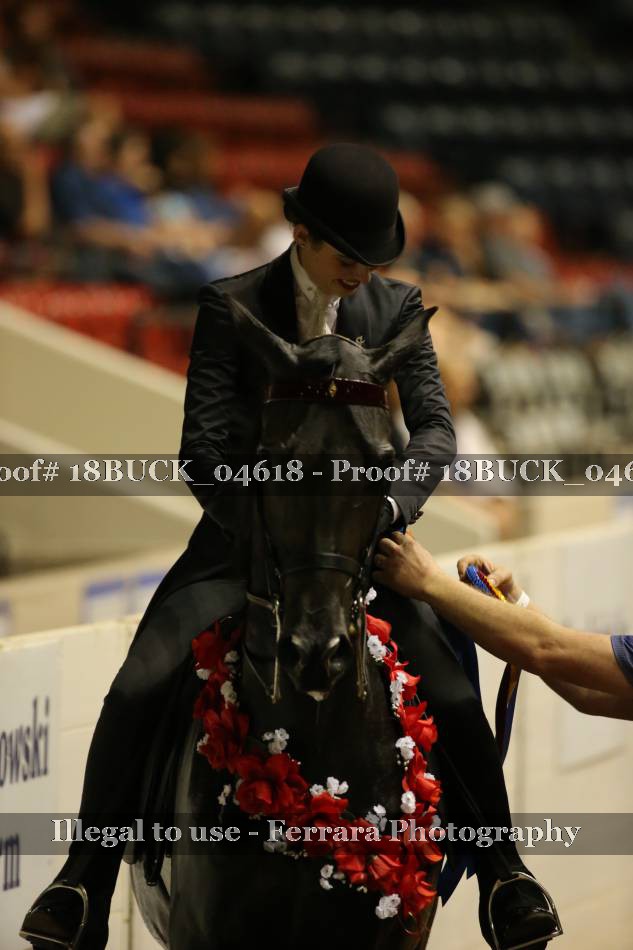 Proof 18BUCK_04618