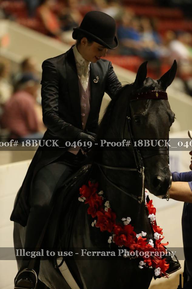 Proof 18BUCK_04619
