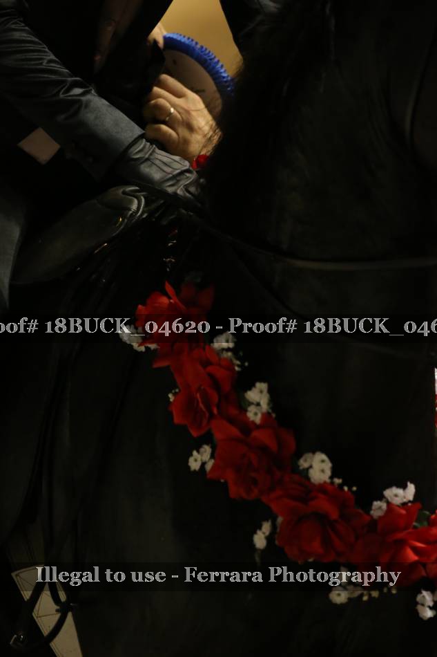 Proof 18BUCK_04620