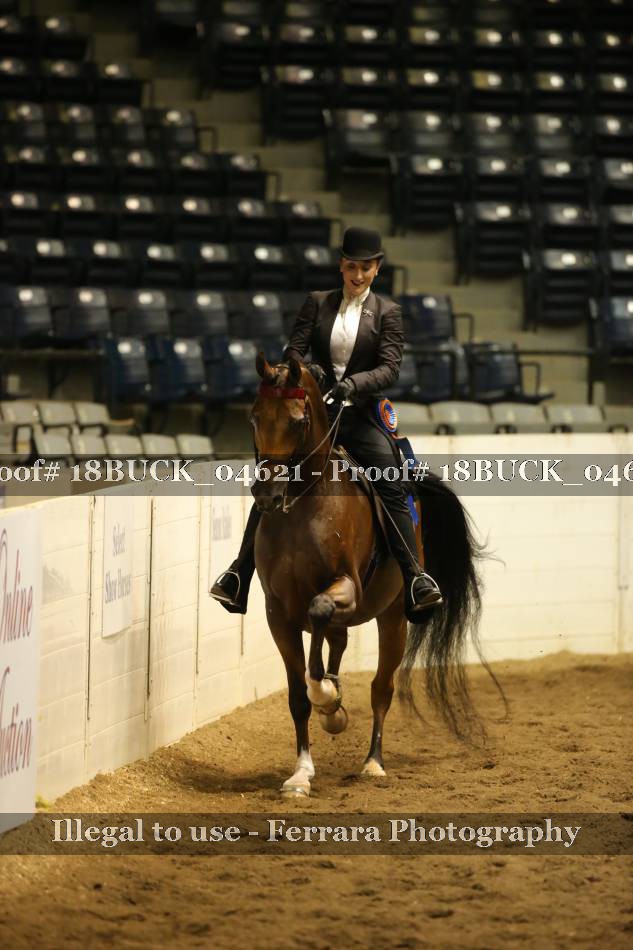 Proof 18BUCK_04621