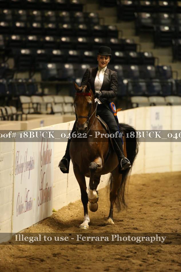 Proof 18BUCK_04622