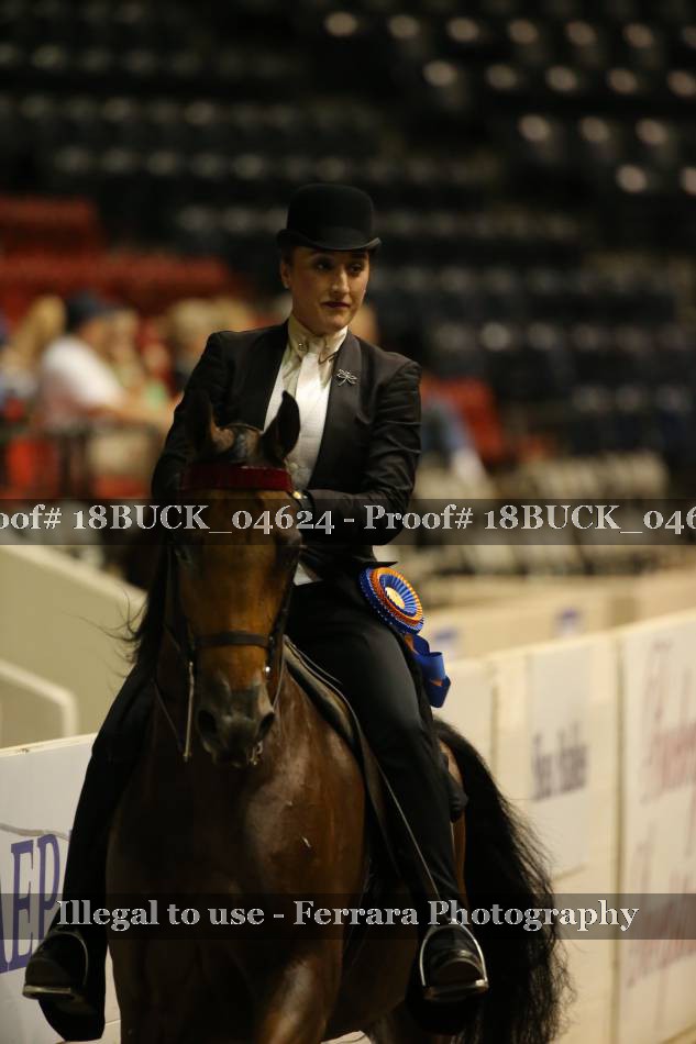 Proof 18BUCK_04624