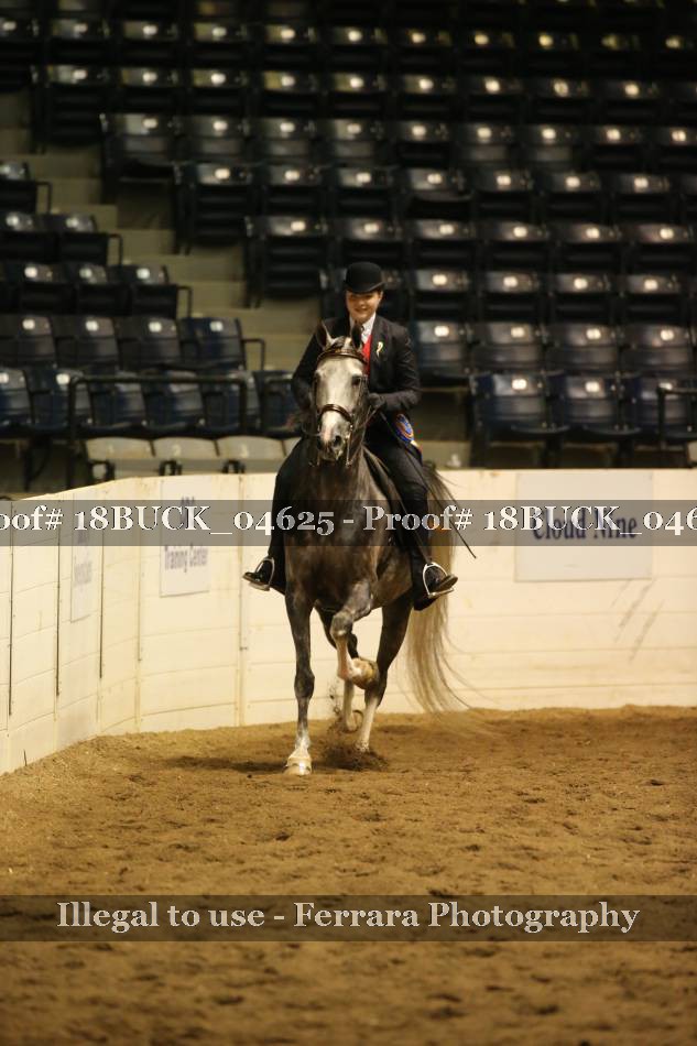 Proof 18BUCK_04625