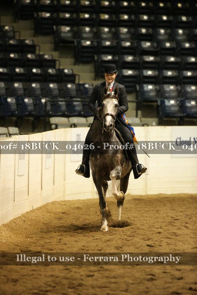 Proof 18BUCK_04626