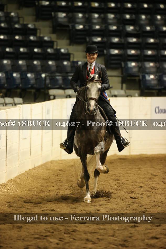 Proof 18BUCK_04627