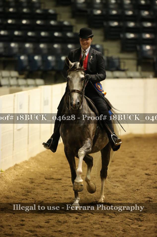 Proof 18BUCK_04628