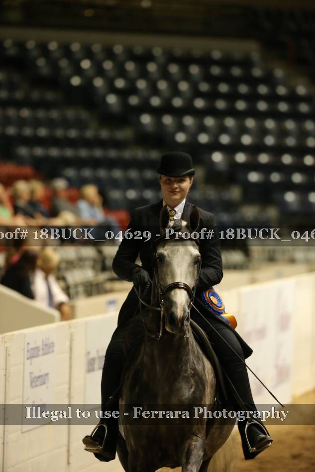 Proof 18BUCK_04629