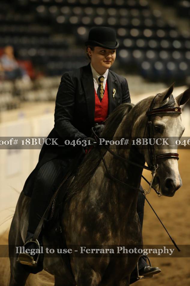 Proof 18BUCK_04631