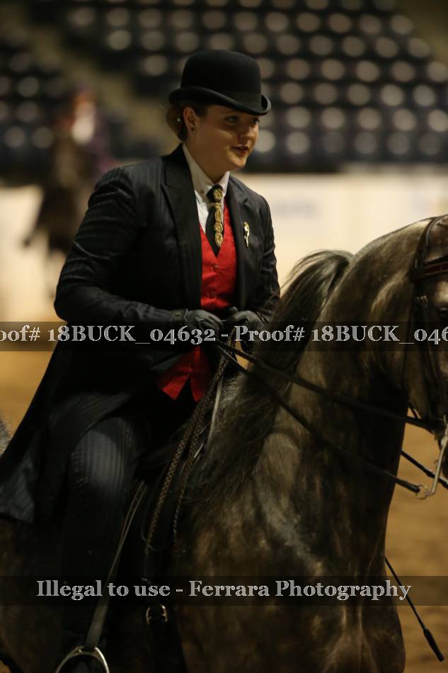 Proof 18BUCK_04632