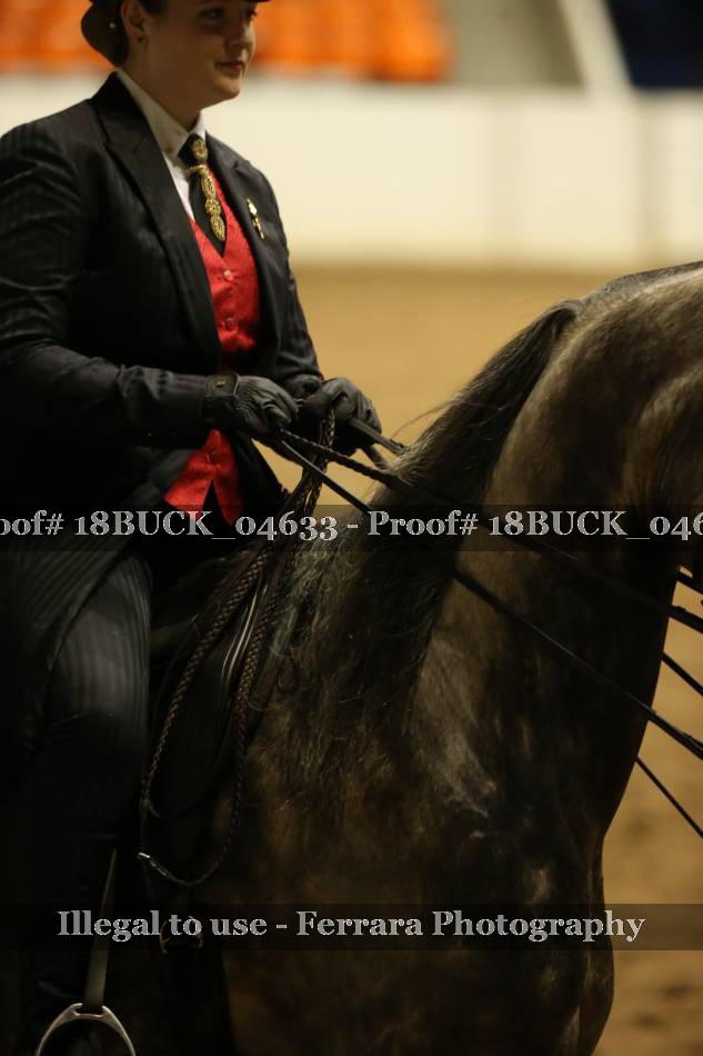 Proof 18BUCK_04633