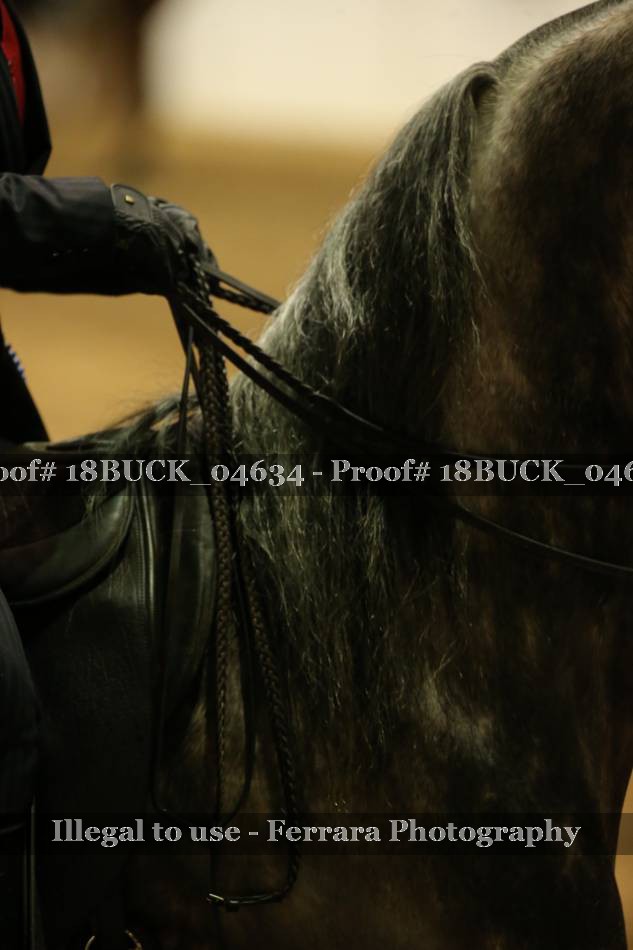 Proof 18BUCK_04634