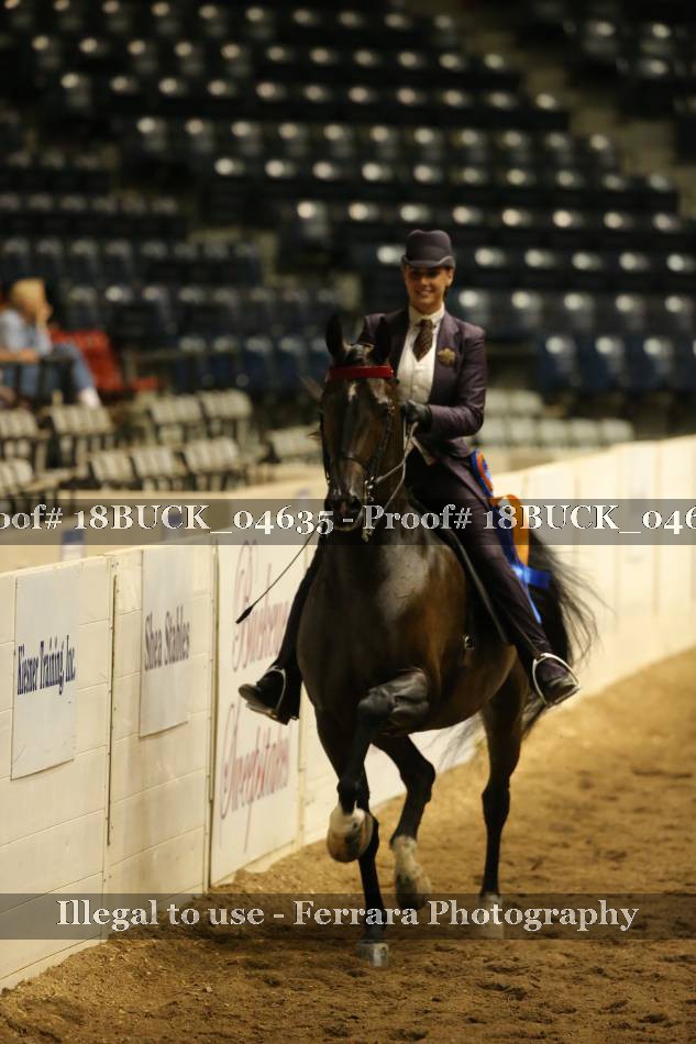 Proof 18BUCK_04635