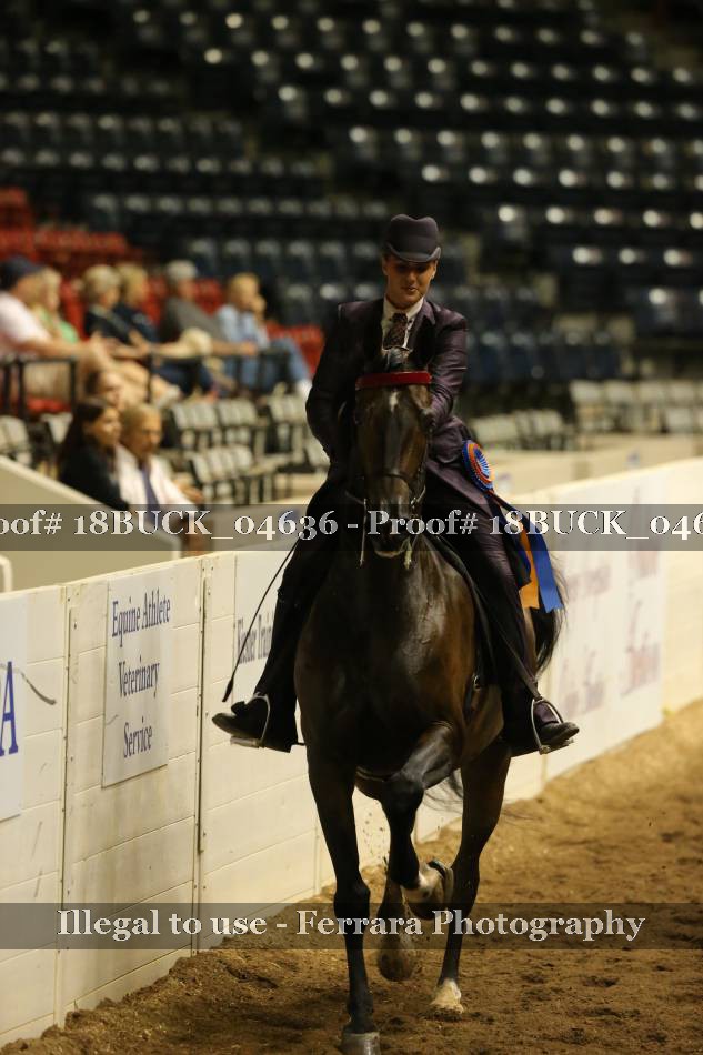 Proof 18BUCK_04636