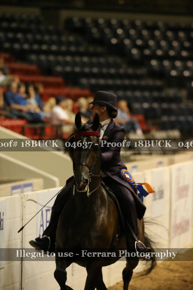 Proof 18BUCK_04637